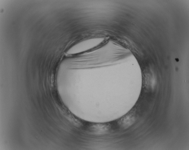 X0000077390326200611101801