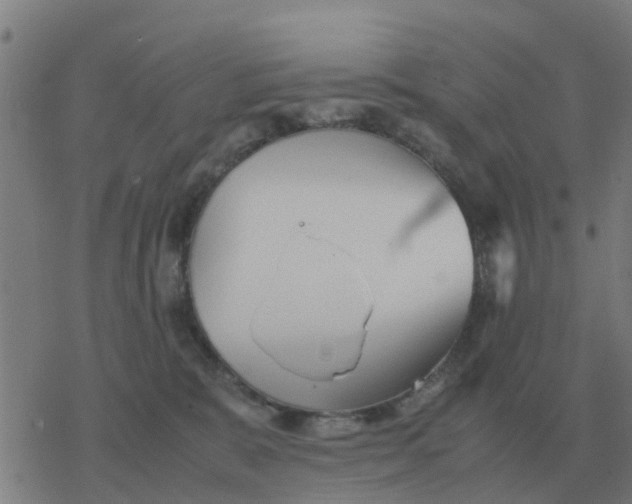 X0000077390327200611101801