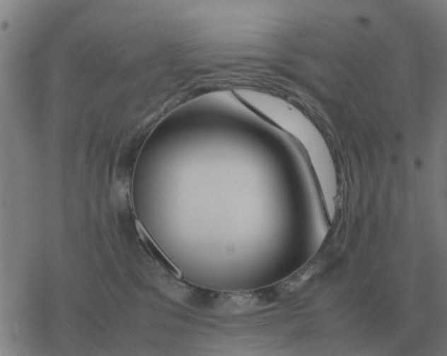 X0000077390329200611101801