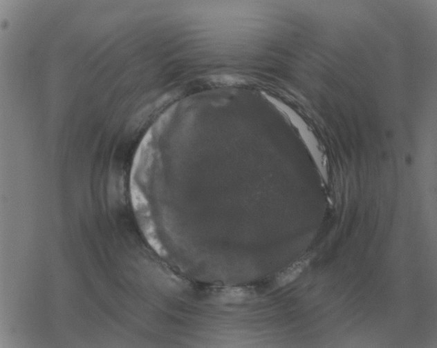 X0000077390330200611101801