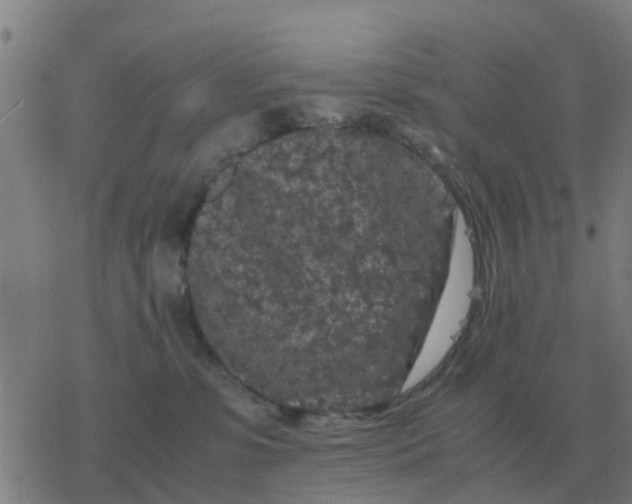 X0000077390331200611101801