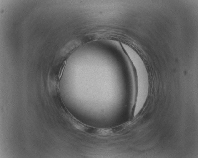 X0000077390333200611101801