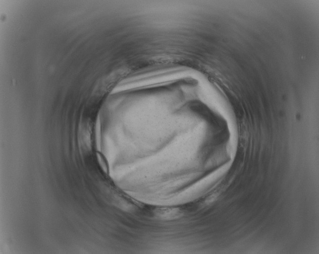 X0000077390334200611101801