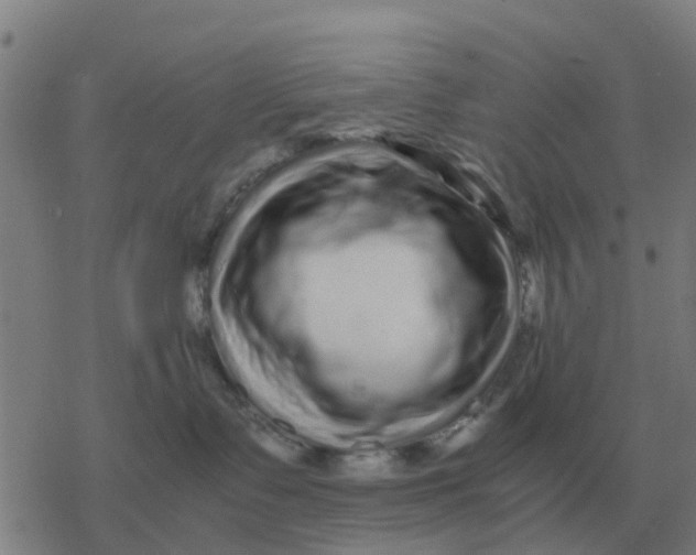 X0000077390335200611101801