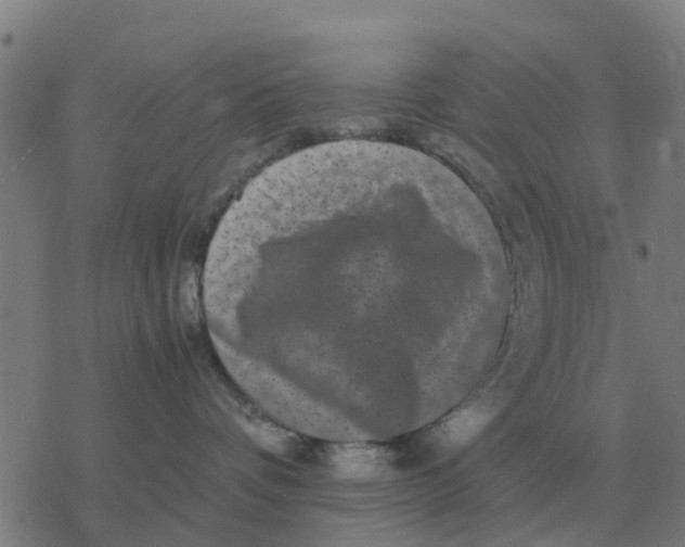 X0000077390336200611101800