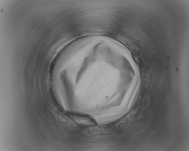 X0000077390338200611101800