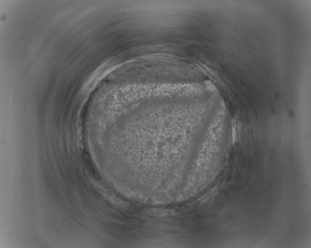 X0000077390339200611101800