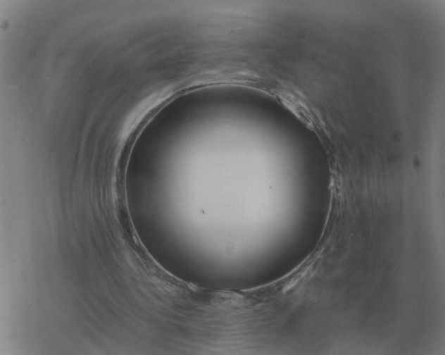 X0000077390340200611101800