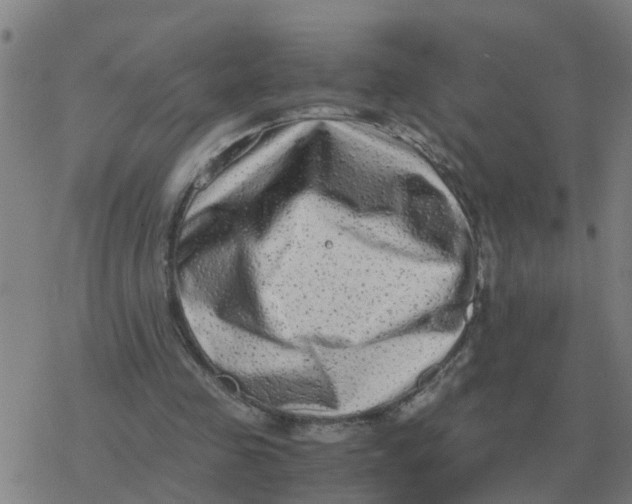 X0000077390341200611101800