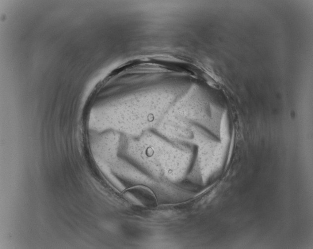 X0000077390342200611101800