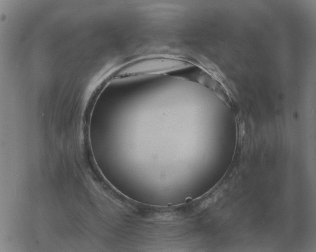 X0000077390344200611101800