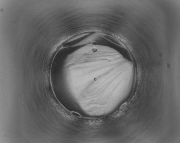 X0000077390345200611101800