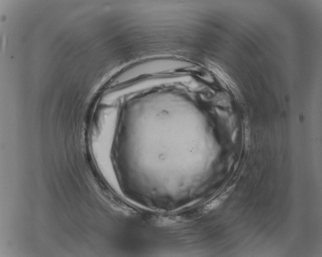 X0000077390346200611101800