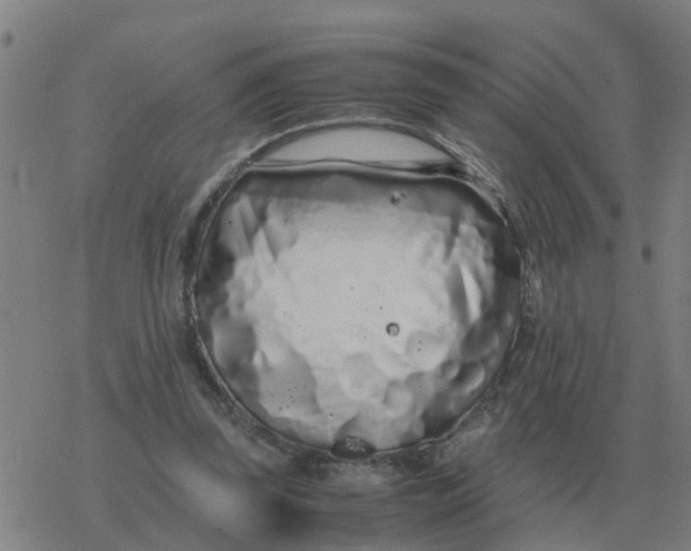 X0000077390347200611101800