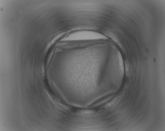 X0000077390348200611101800