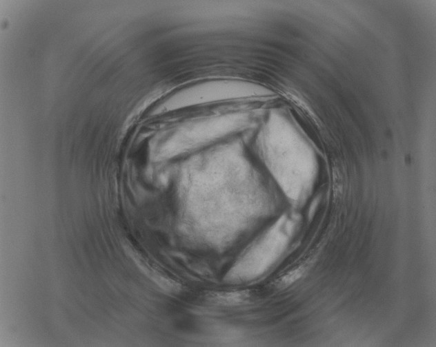 X0000077390349200611101800