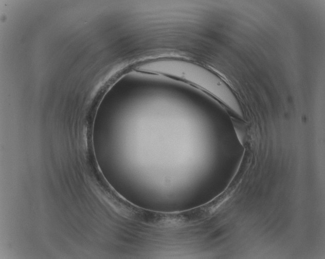 X0000077390350200611101800