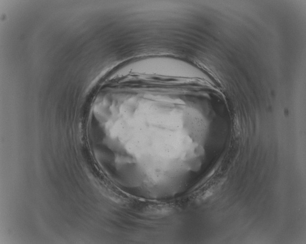 X0000077390351200611101800