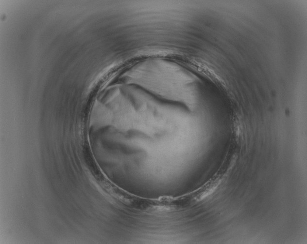 X0000077390352200611101800