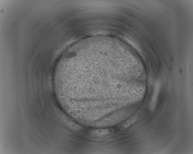 X0000077390353200611101800