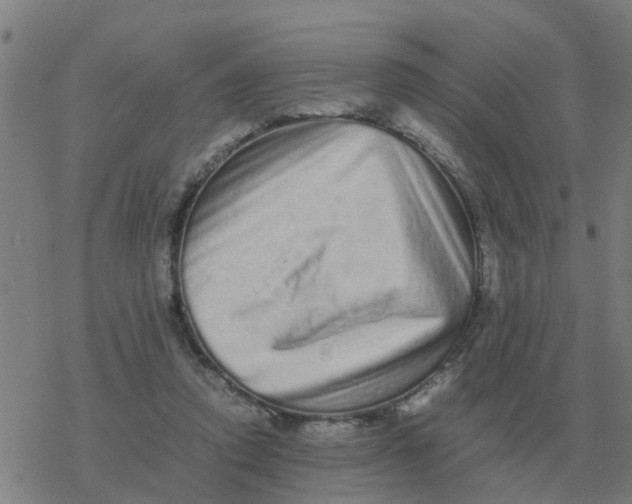 X0000077390354200611101800