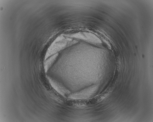 X0000077390355200611101800