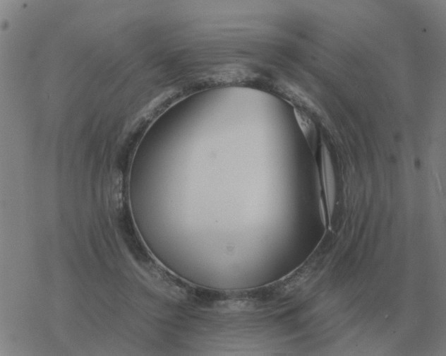 X0000077390356200611101800