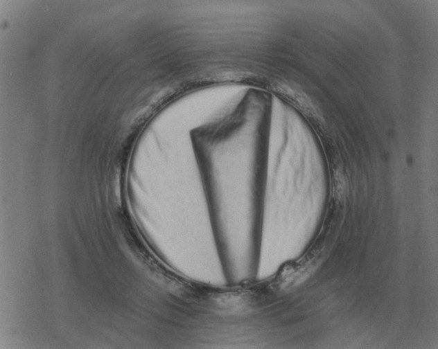 X0000077390358200611101800