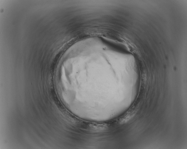 X0000077390359200611101800