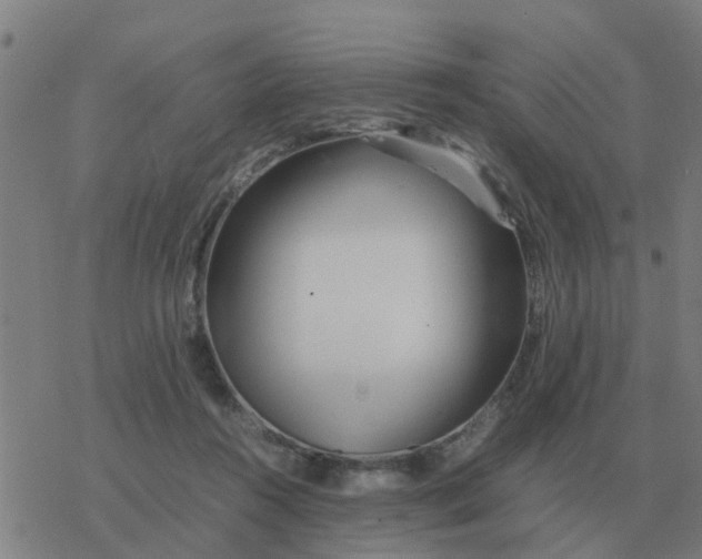 X0000077390360200611101800