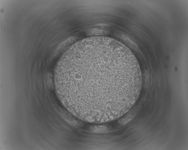 X0000077390361200611101800