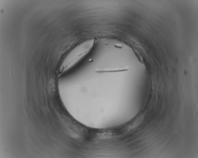 X0000077390362200611101800