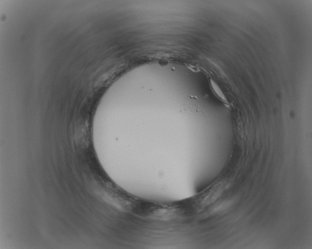 X0000077390364200611101800