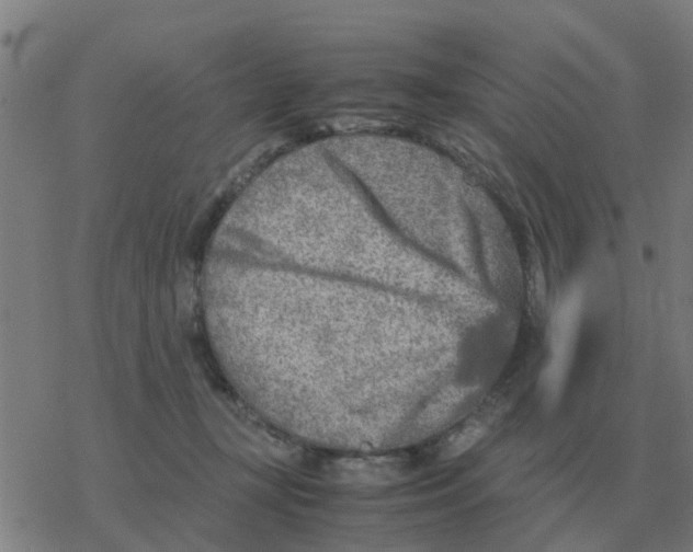 X0000077390367200611101800