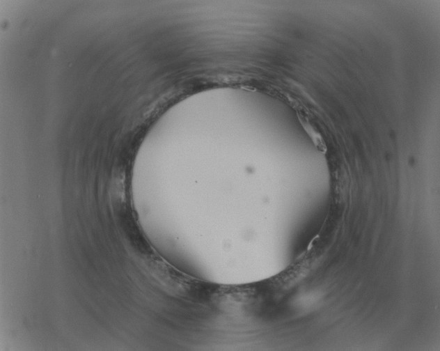 X0000077390368200611101800