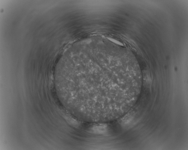 X0000077390369200611101800