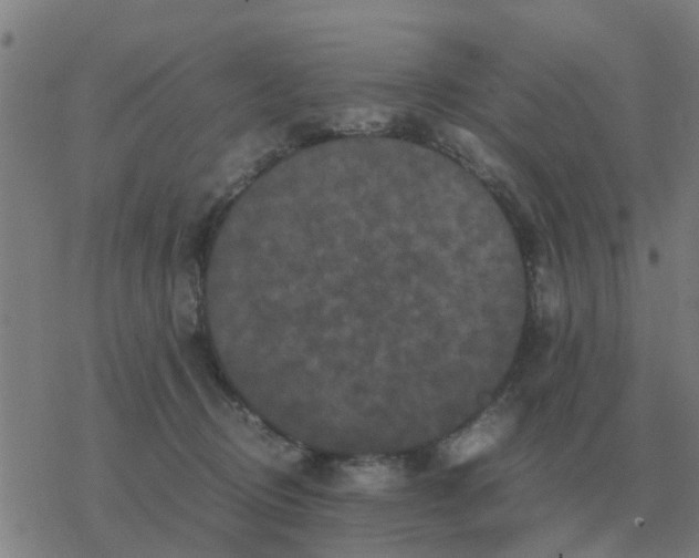 X0000077390370200611101800