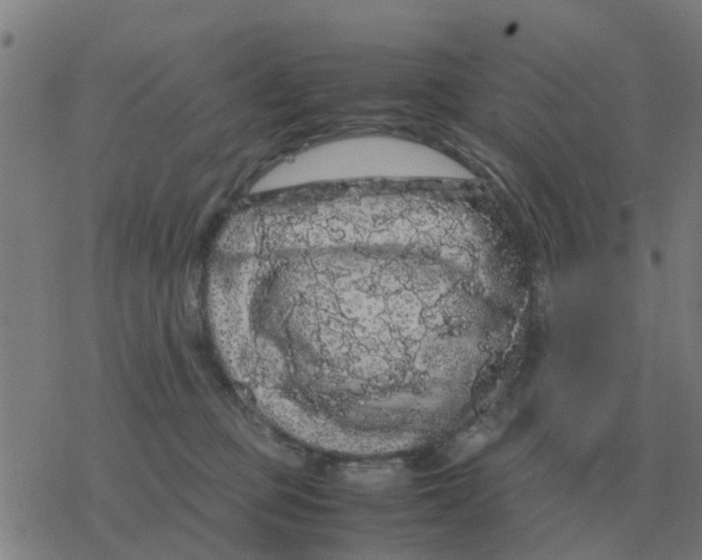 X0000077390373200611101800