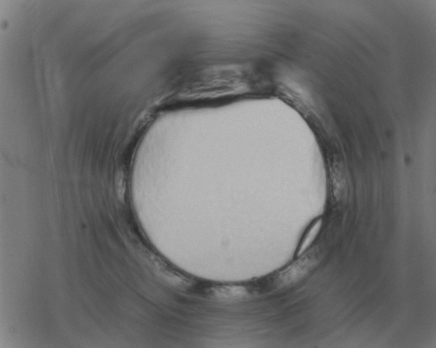 X0000077390374200611101800