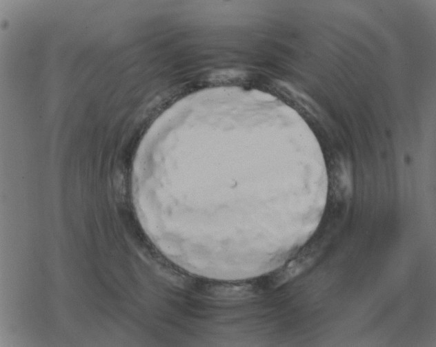 X0000077390375200611101800