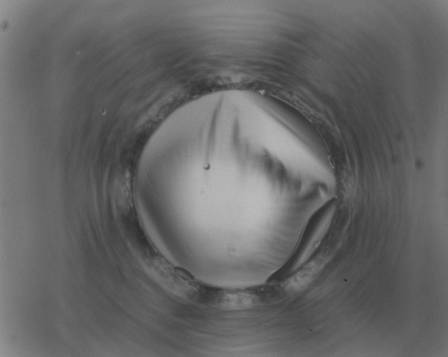 X0000077390376200611101800