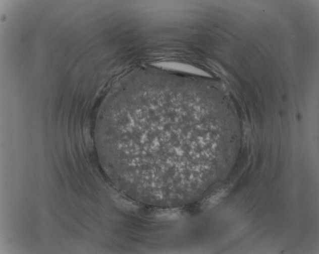 X0000077390377200611101800