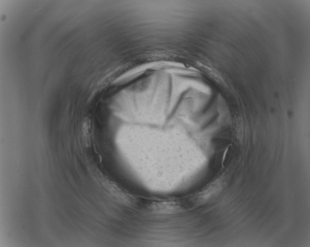 X0000077390378200611101800