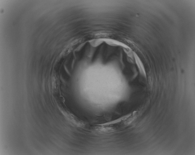 X0000077390379200611101800