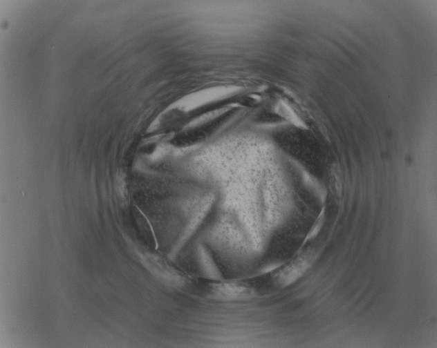 X0000077390380200611101800