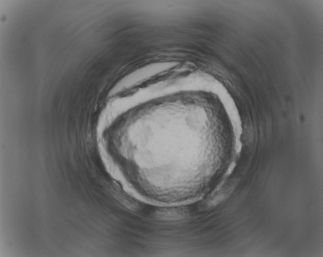 X0000077390381200611101800