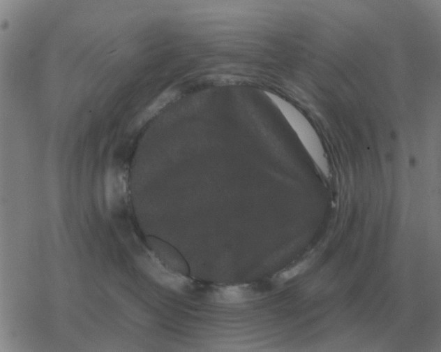 X0000077390382200611101800