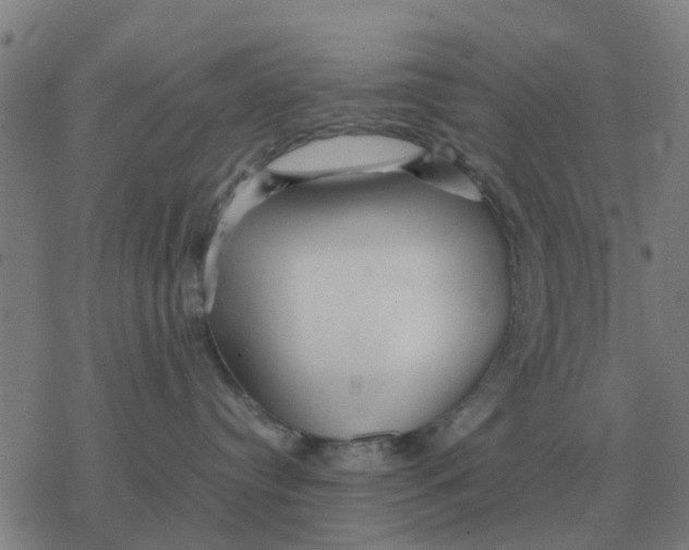 X0000077390384200611101800