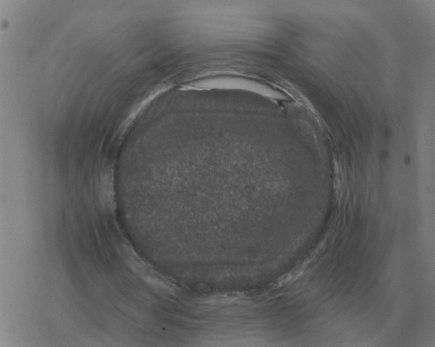 X0000077390386200611101800