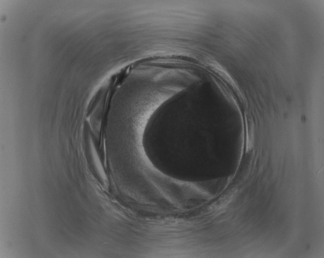 X0000077390387200611101800